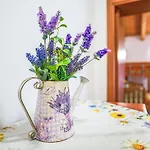 Il Cerchio By Interhome Holiday home Tollo
